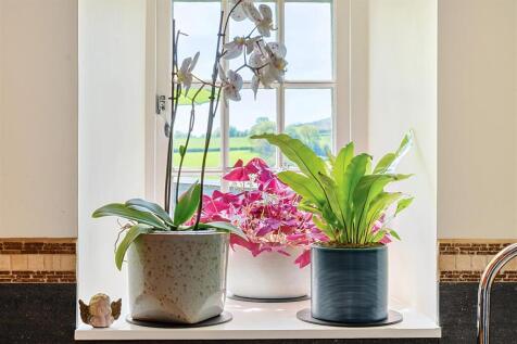 View From Kitchen