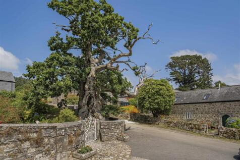 Darley Oak (Oldest Tree in Cornwall)