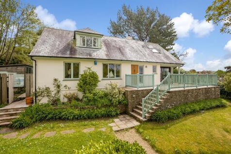 A01 - Ashprington, Brambles - 230505.jpg