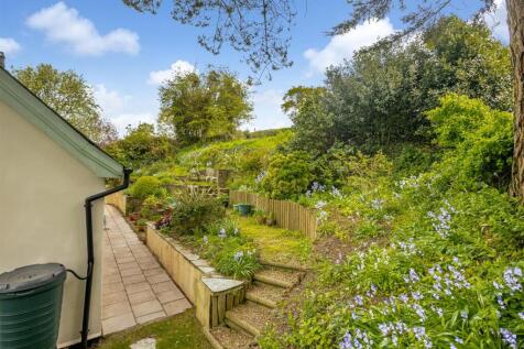 A11 - Ashprington, Brambles - 230505.jpg