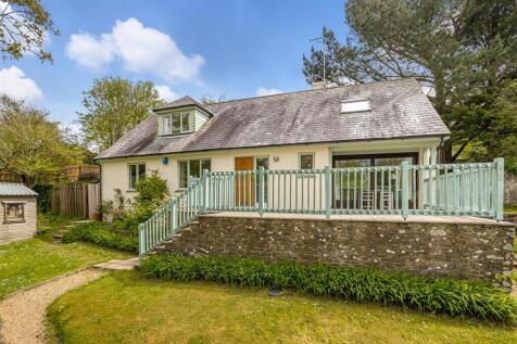 A02 - Ashprington, Brambles - 230505.jpg