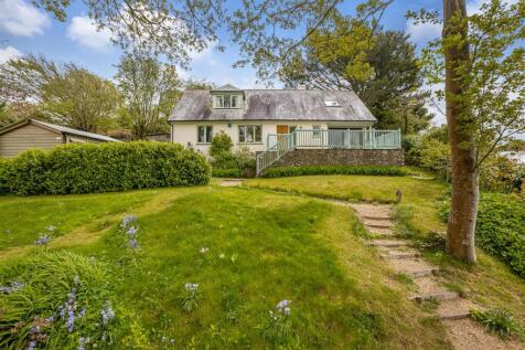 A03 - Ashprington, Brambles - 230505.jpg