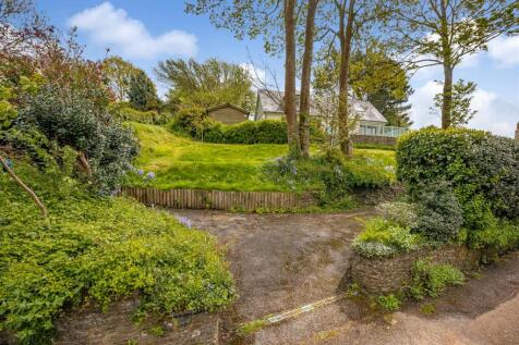 A04 - Ashprington, Brambles - 230505.jpg