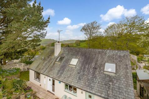 A13 - Ashprington, Brambles - 230505.jpg