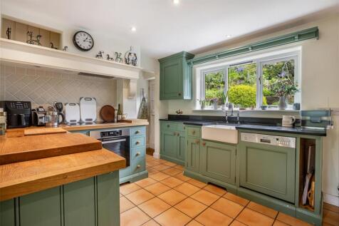 A21 - Ashprington, Brambles - 230505.jpg