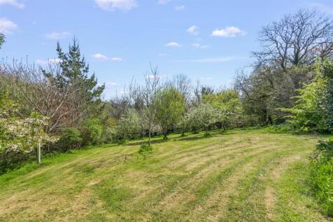 DSC_9157.jpg