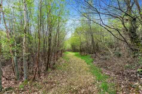 Middlemoor.37.jpg