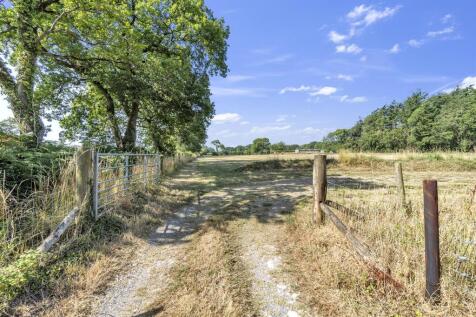 JobblesLane.17.jpg