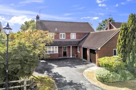 9HaynePark.1.jpg