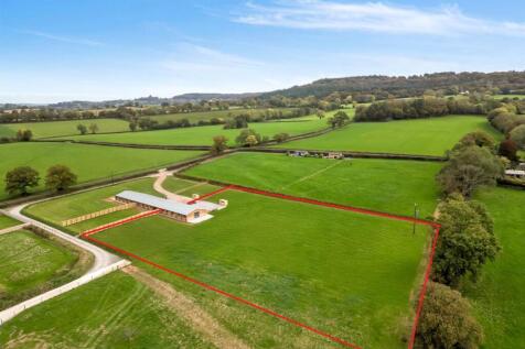 Meadow Barn Paddock.jpg