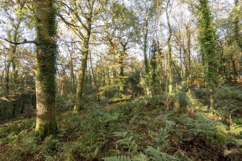 WoodhouseCopse.8.jpg