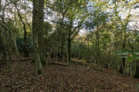 WoodhouseCopse.10.jpg