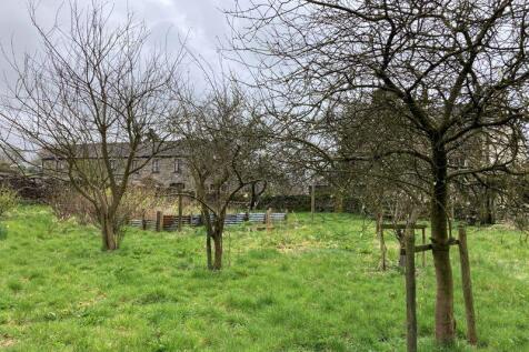 Orchard