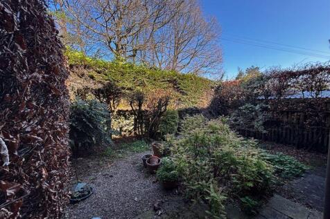 Back Garden 