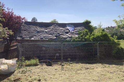 Back of the plot