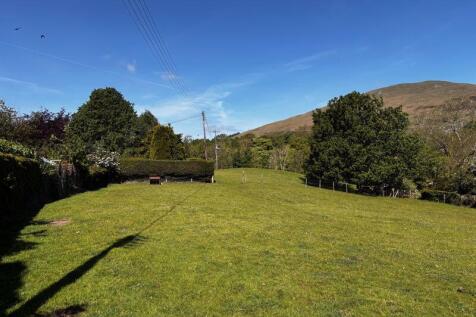 Field