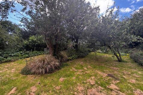 Back Garden