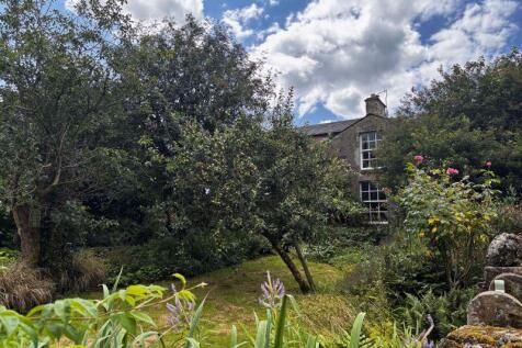 Back Garden