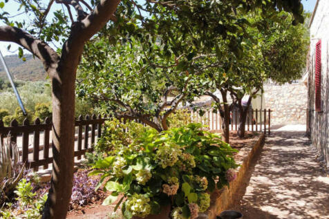 Property Image 61