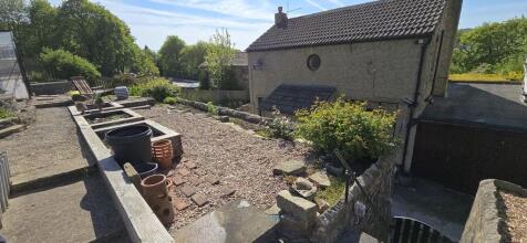Back Garden