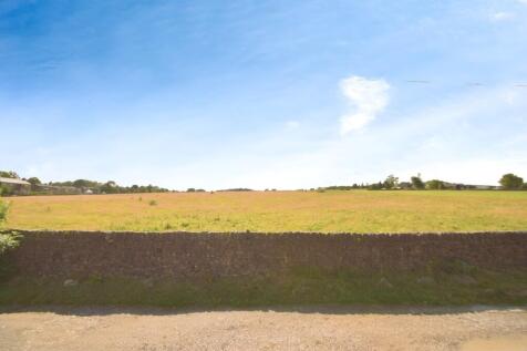 8a3bc538-DSC_0529