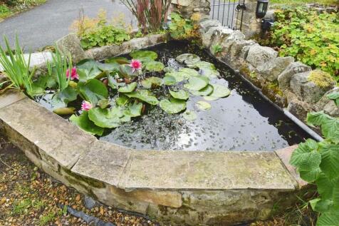 af3aba77-Pond