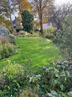 thumbnail_process...