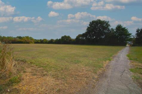 FIELD.jpg