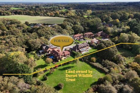 Property Image 37