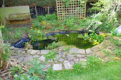 Pond