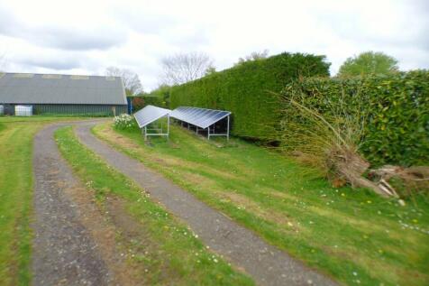 Rear Driveway