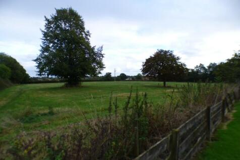 Grazing Land View