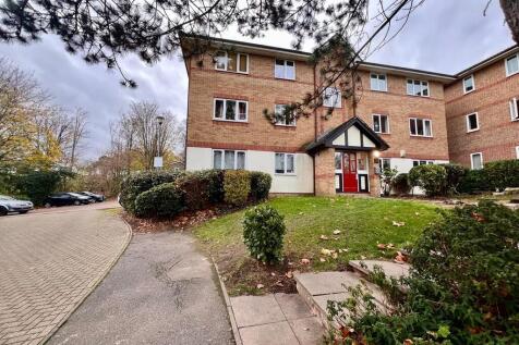 WhatsApp Image 20...