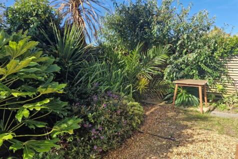 Rear Garden.