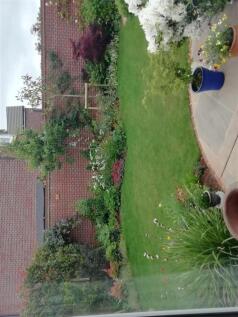 SUMMER GARDEN IMAGE