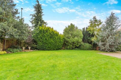 Property Image 41