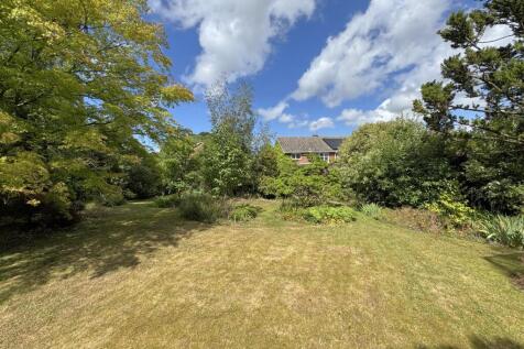 Property Image 13
