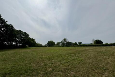 Adjacent Field