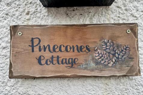 Pinecones