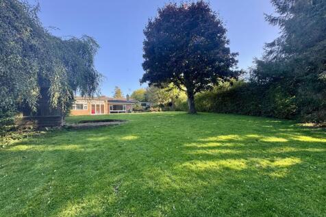 Rear Garden (1/3)