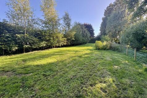 Rear Garden (2/3)