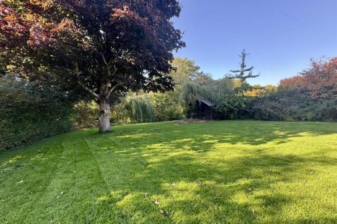 Rear Garden (3/3)