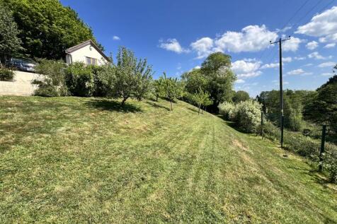 IMG_1243.JPEG