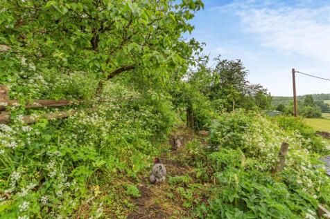 Property Image 36