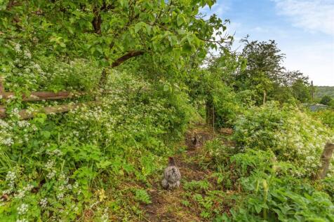 Property Image 37