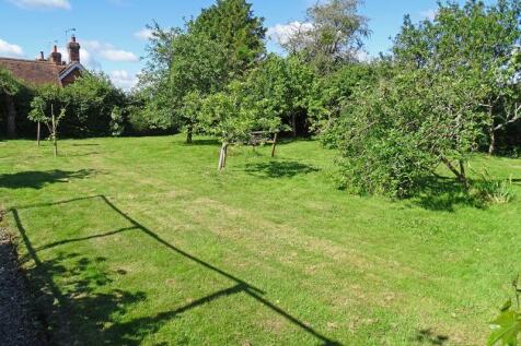 Orchard