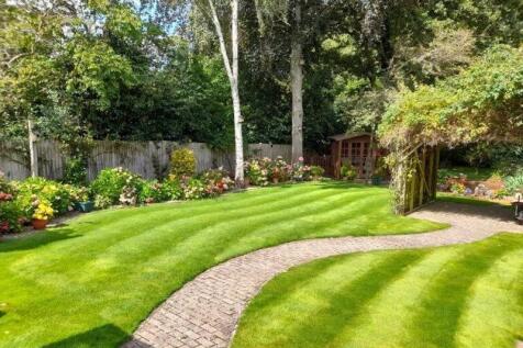 Summer garden 