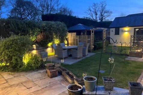 Garden at night