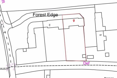 Forest Edge
