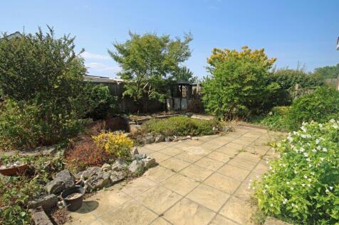 Garden with pond